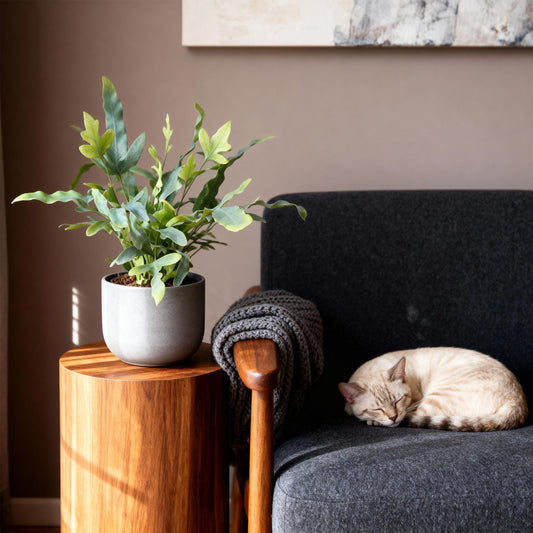 Cat sleeping on a dark gray sofa next to a wooden side table with a potted plant and a blanket.