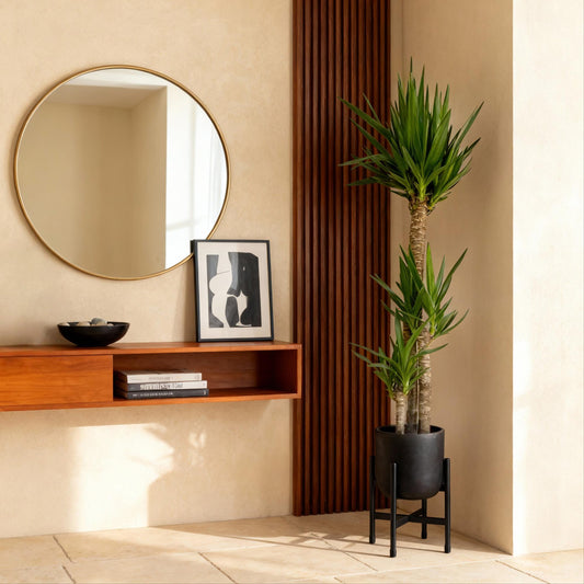 Modern interior with round mirror, wooden shelf, and potted plant against a beige wall.