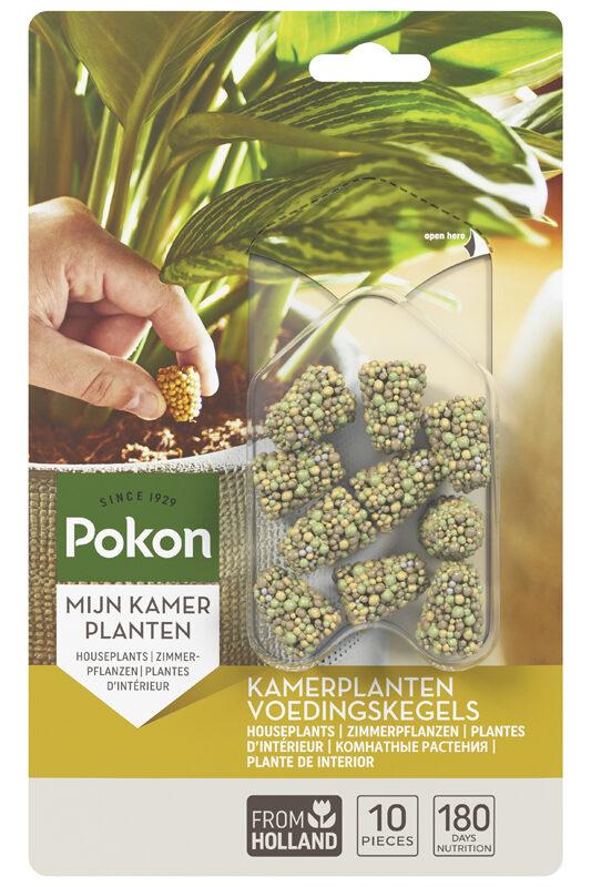 Houseplants Food Cones - 10 pieces