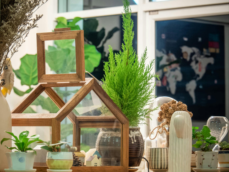 Decorative house-shaped mirror with potted plants on a windowsill