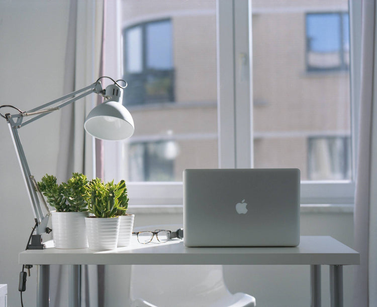 Home Office Plants