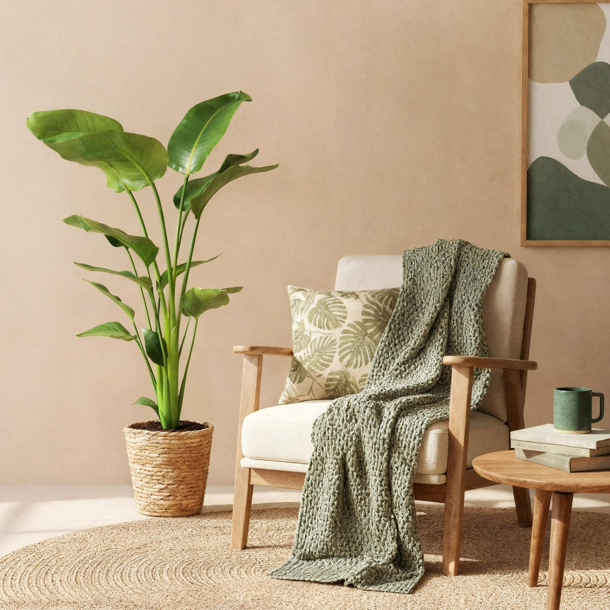 Cozy living room with a plant, armchair, and coffee table.