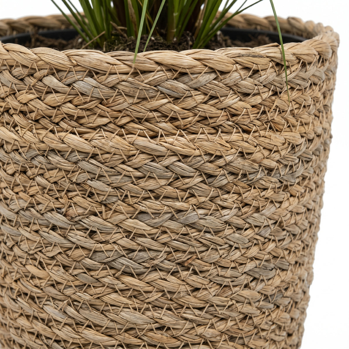 Close-up of a woven natural fiber planter basket with green grass-like plants visible at the top, photographed against a white background.