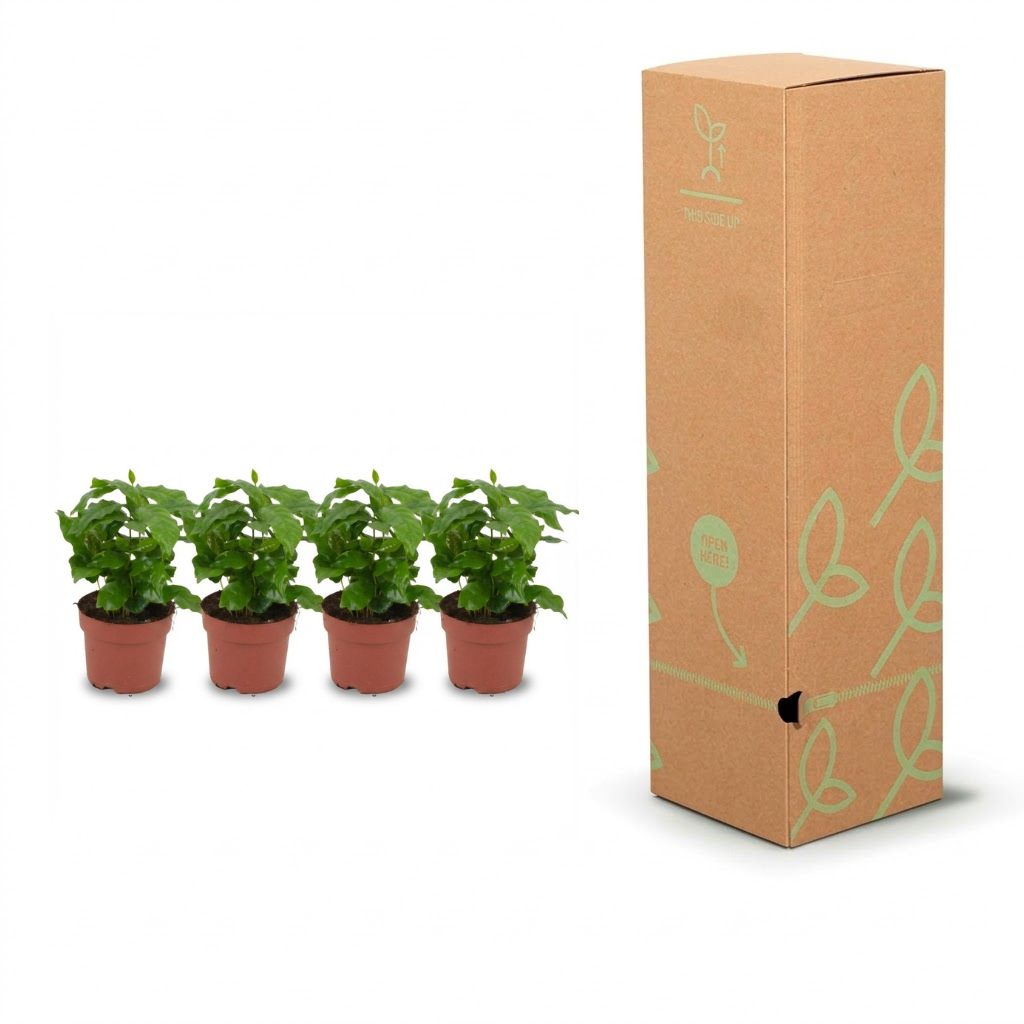 Four small green potted plants in terracotta pots displayed next to a tall brown cardboard shipping box with light green leaf illustrations on a white background.