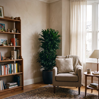 A cozy living room corner with a tall potted green plant in a dark pot, next to a beige armchair with a textured throw pillow and blanket. A wooden bookshelf stands on the left, and a small side table with a lamp is on the right, all set against warm beige walls and a patterned rug.