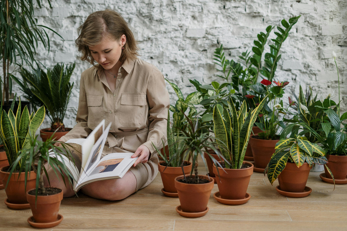 Woman reading a book surrounded by potted plants in a home setting