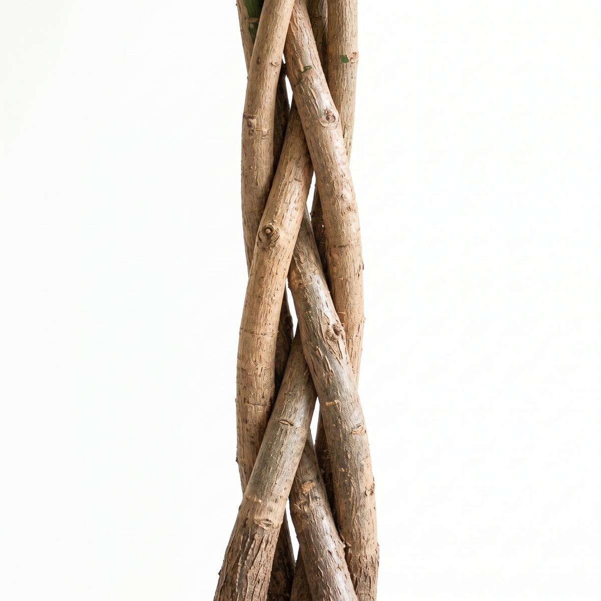 Twisted natural wood branches or vine stems arranged vertically against a plain white background.
