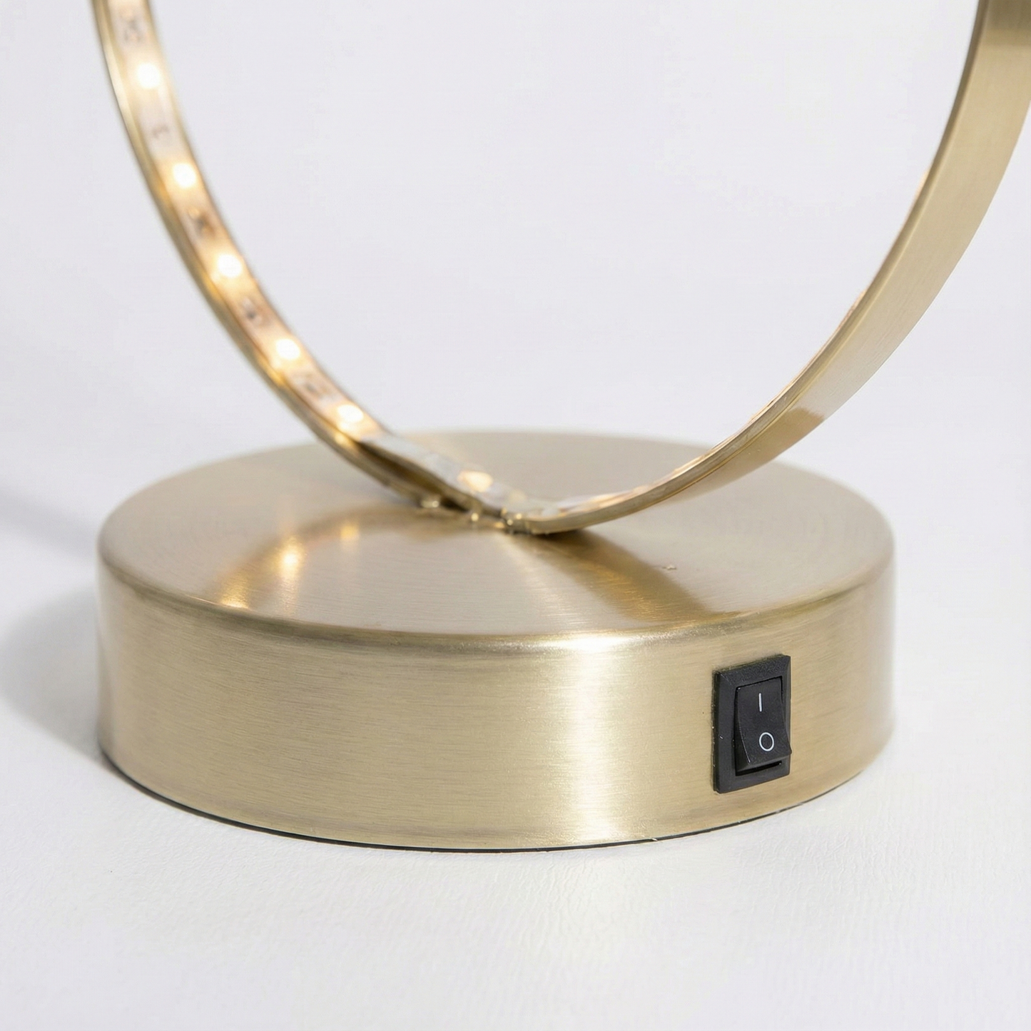 Air Plant; Tillandsia