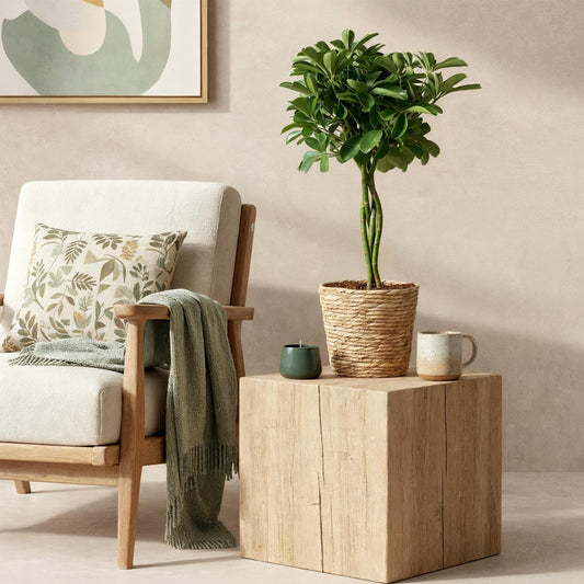 Cozy living room with a chair, plant, and small table.