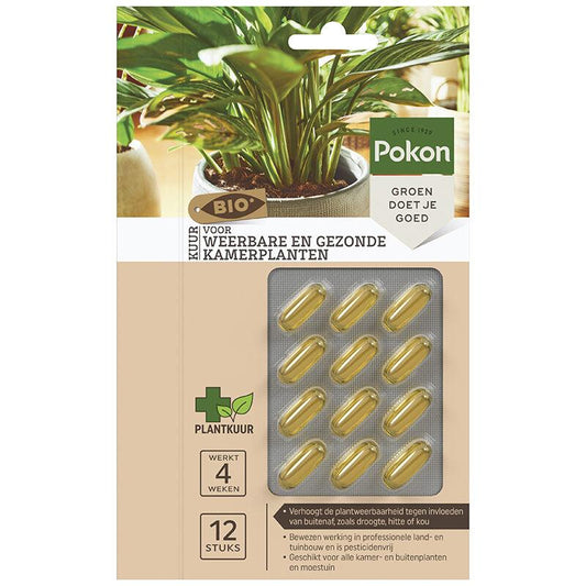 Houseplant Food Capsules x12