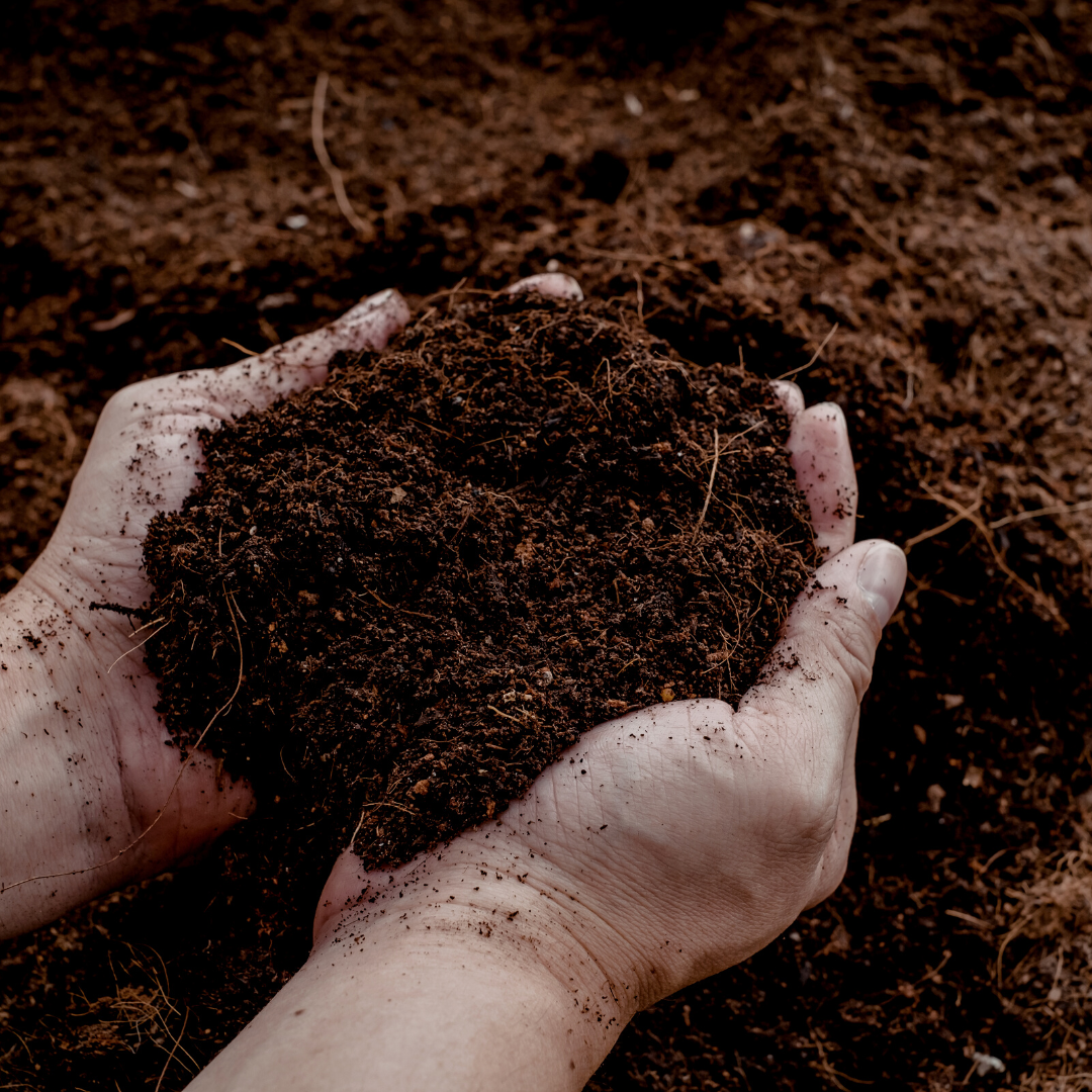 Universal Potting Soil | 30 Litres